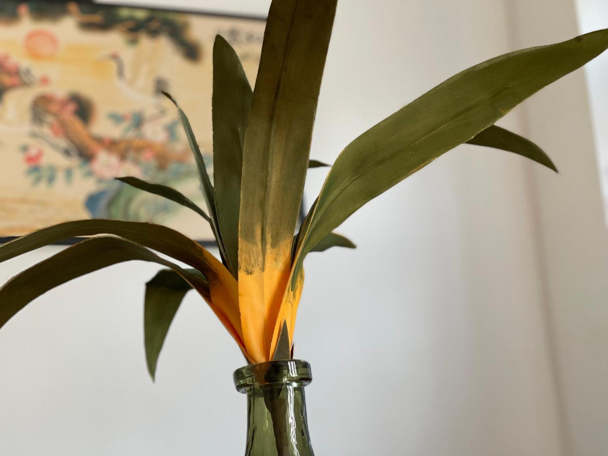 Apartmán Palms *